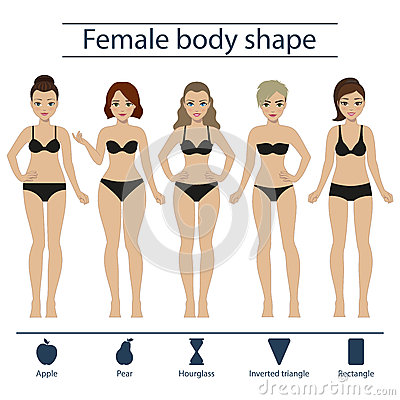 female body shape picture 1