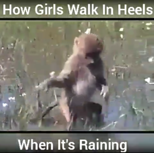 funny-how-to-walk-in-heels-2018