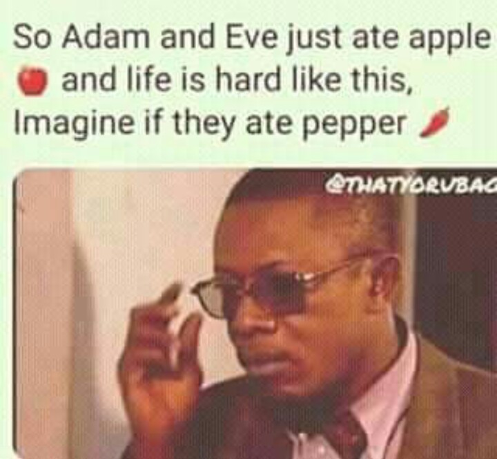 funny memes collection 3 funny memes collection 3