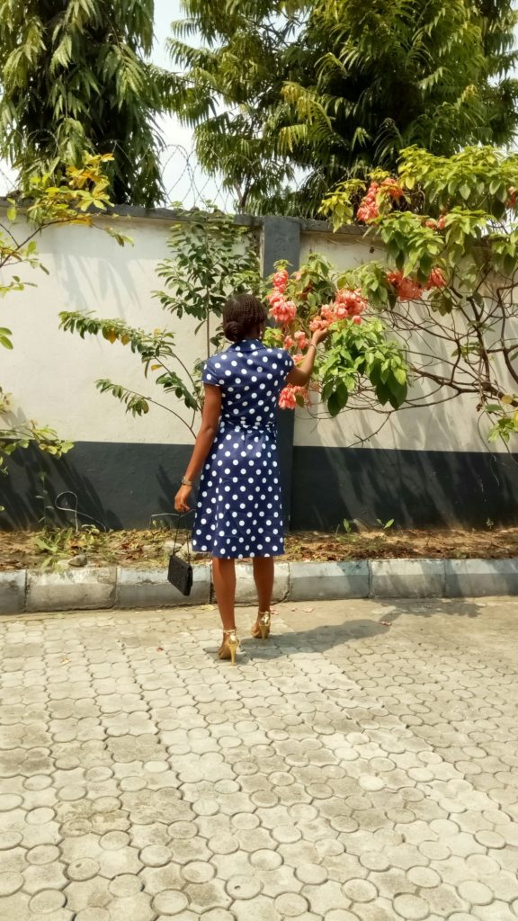 Alisa pan dress reviews Alisa pan dress reviews