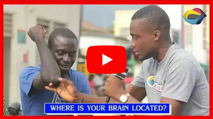 Hilarious Street Quiz Video