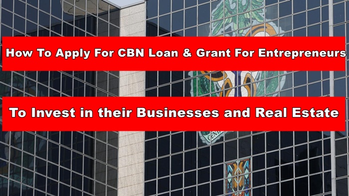 How To Apply For CBN 50,000 Fund For Entrepreneurs To Invest in their Businesses and Real Estate
